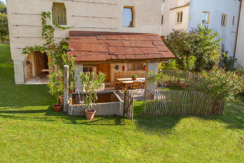 schedling-web-mg-8746.jpg