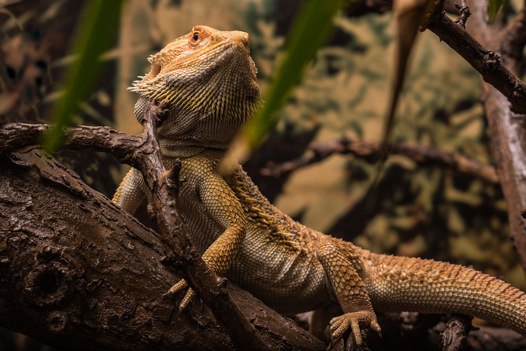 Haus der Natur Salzburg
